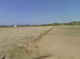 Κ0087 ΠΩΛΕΙΤΑΙ  40.000€ οικόπεδο 5.500 τ.μ. ελιές και σταύλο   +30 6970847459